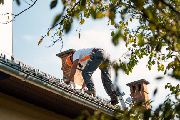 Best Roof Gutter Cleaning  in Sumner, IL