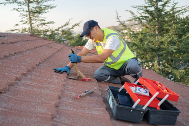 Best Roof Waterproofing Services  in Sumner, IL