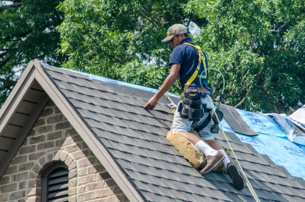 Gutter Installation and Roofing in Sumner, IL